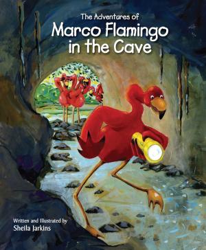 Book cover of The Adventures of Marco Flamingo in the Cave