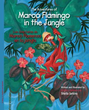Book cover of The Adventures of Marco Flamingo in the Jungle / Las aventuras de Marco Flamenco en la jungla