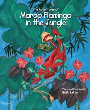 Book cover of The Adventures of Marco Flamingo in the Jungle