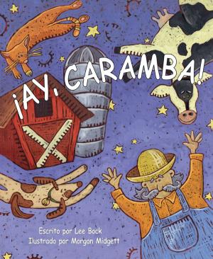 Cover of the book ¡Ay, caramba! by Toula Palazeti