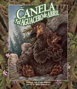 Book cover of Canela e el aguacero de Abril