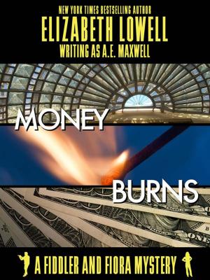 Cover of the book Money Burns by Elizabeth Lowell