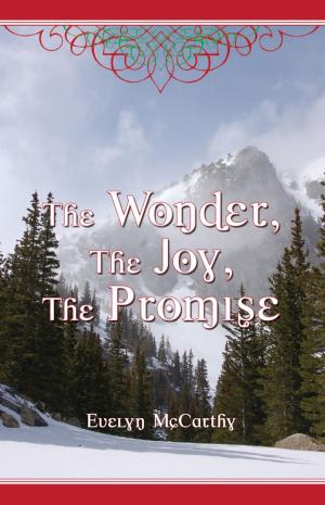 bigCover of the book The Wonder, The Joy, The Promise by 