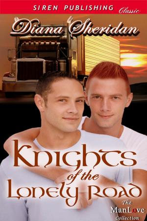 Cover of the book Knights of the Lonely Road by Nicole Morgan