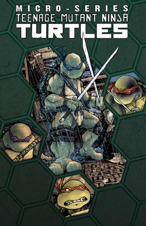 Book cover of Teenage Mutant Ninja Turtles Microseries Volume 1