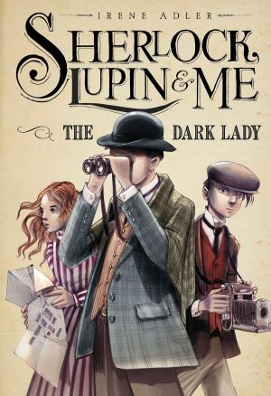 Cover of the book The Dark Lady by Charlotte Guillain