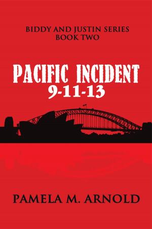Cover of the book Pacific Incident 9-11-13 by Moshe Mazin