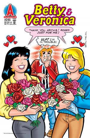 Book cover of Betty & Veronica #245
