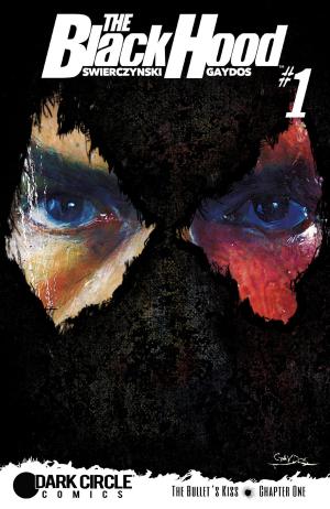 Cover of the book The Black Hood #1 by Paul Kupperberg, Fernando Ruiz, Pat Kennedy, Tim Kennedy