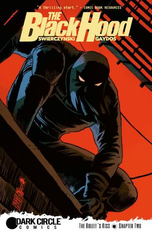 Book cover of The Black Hood #2