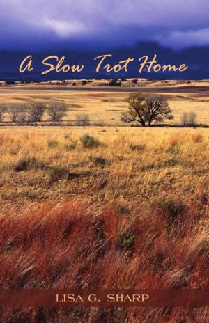 Cover of the book A Slow Trot Home by Michelee Morgan Cabot