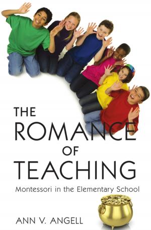 Cover of the book The Romance of Teaching by David Jacobs