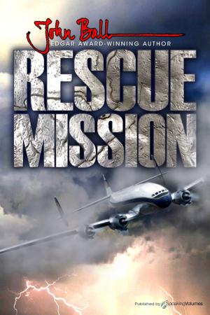 Cover of the book Rescue Mission by Jerry Ahern