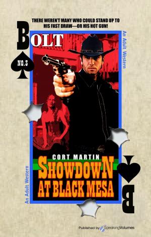 Cover of the book Showdown at Black Mesa by Christopher Newman