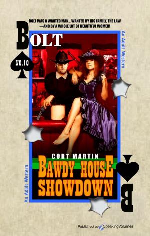 Cover of the book Bawdy House Showdown by Ford Fargo