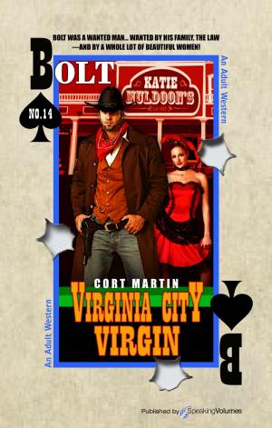 Cover of the book Virginia City Virgin by J.R. Roberts