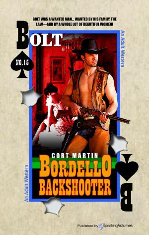 Cover of the book Bordello Backshooter by Mardi Oakley Medawar