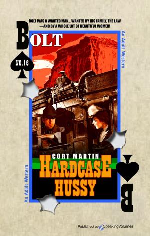 Cover of the book Hardcase Hussy by Wayne D. Overholser