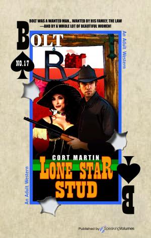 Cover of the book Lone Star Stud by E. Marten