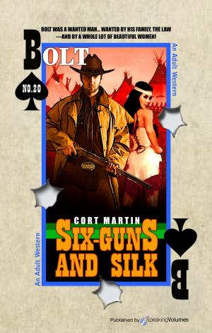 Cover of the book Six-Guns and Silk by Jerry Ahern, Sharon Ahern
