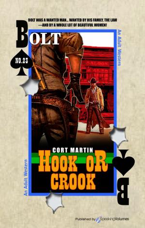 Cover of the book Hook or Crook by John Hunter