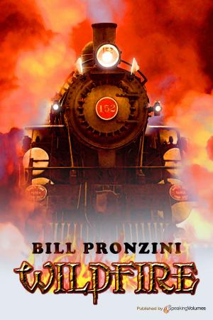 Cover of the book Wildfire by Bill Pronzini