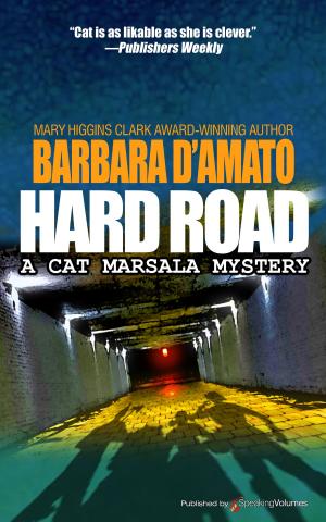 Cover of the book Hard Road by Todd Borg