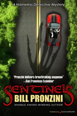 Cover of the book Sentinels by J.R. Roberts