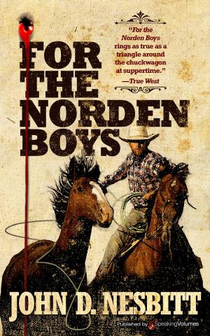 Cover of the book For the Norden Boys by John Ball