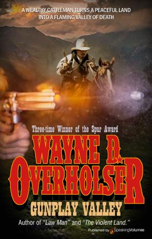 Cover of the book Gunplay Valley by Mark Byrne