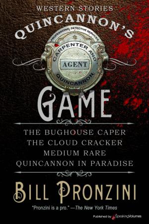 Cover of the book Quincannon's Game by Lyle Brandt, Michael Newton