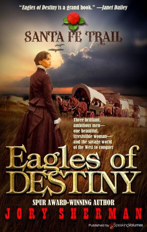 Cover of the book Eagles of Destiny by J.R. Roberts
