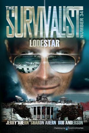 Cover of the book Lodestar by Luc Iver de Vil