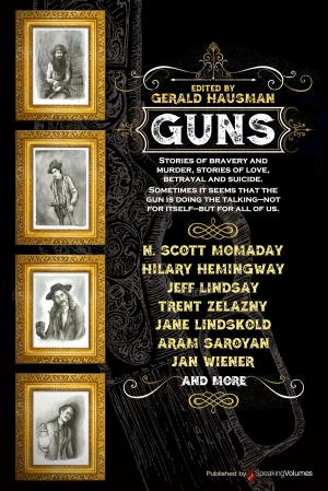 Cover of the book Guns by Pete Hackett, W. W. Shols, Hendrik M. Bekker