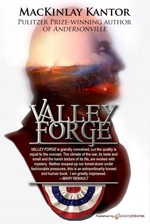 Cover of the book Valley Forge by Kevin D. Randle