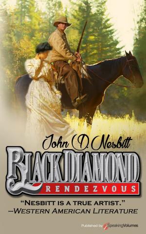 Cover of the book Black Diamond Rendezvous by Robert Eugene Miller