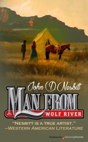 Cover of the book Man from Wolf River  by Jory Sherman