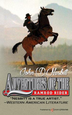 Cover of the book Adventures of the Ramrod Rider by Jerry Ahern