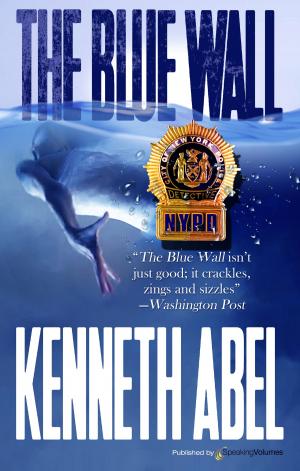Cover of the book The Blue Wall by J.R. Roberts