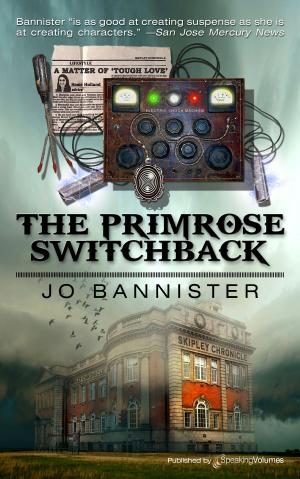 Cover of the book The Primrose Switchback  by Bill Pronzini