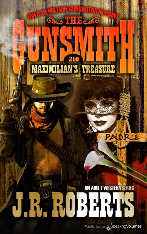Cover of the book Maximilian's Treasure by J.R. Roberts