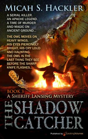 Cover of the book The Shadow Catcher  by Jerry Kennealy
