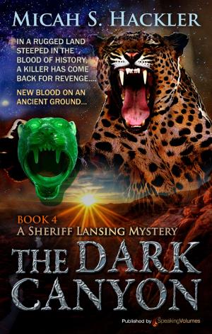 Cover of the book The Dark Canyon  by J.R. Roberts