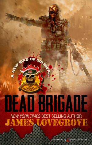 Cover of the book Dead Brigade by J.R. Roberts
