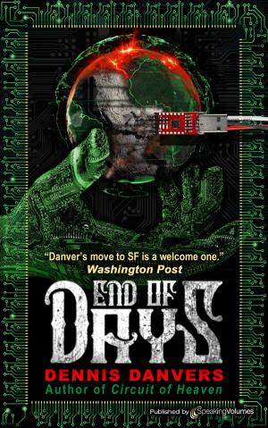 Cover of the book End of Days by J.R. Roberts