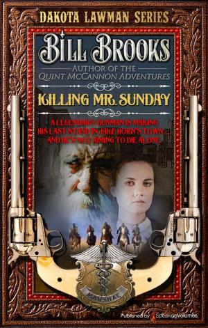 Cover of the book Killing Mr. Sunday by Maan Meyers