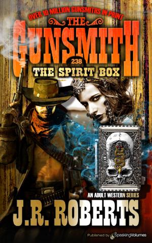 Cover of the book The Spirit Box  by James Rouch