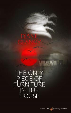 Cover of the book The Only Piece of Furniture in the House by J.R. Roberts