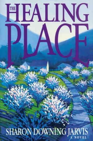 Book cover of The Healing Place
