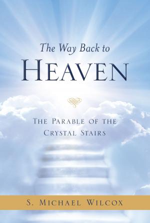 Book cover of The Way Back to Heaven